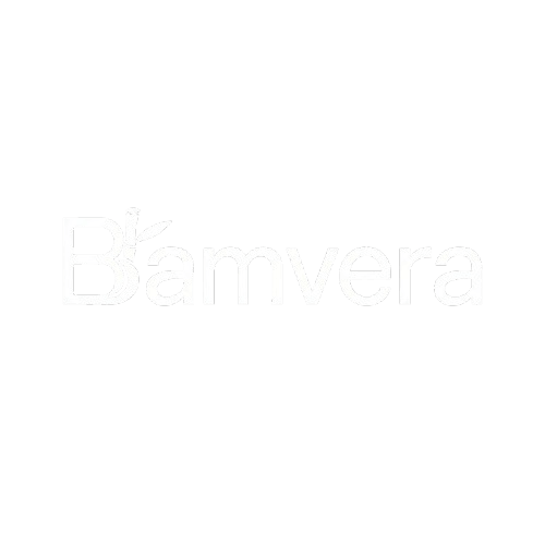 Bamvera footer logo